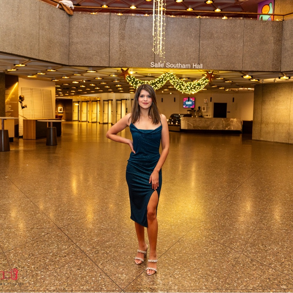 Glamorous dress perfect for a cocktail night or an event!